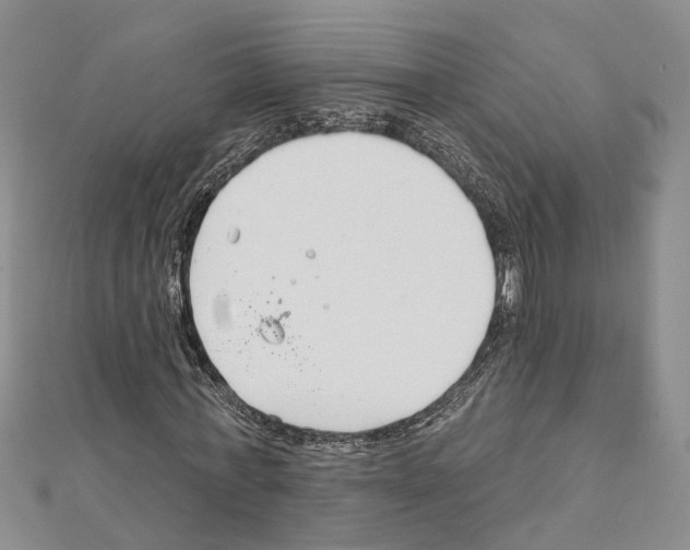 X0000111610771200908281050