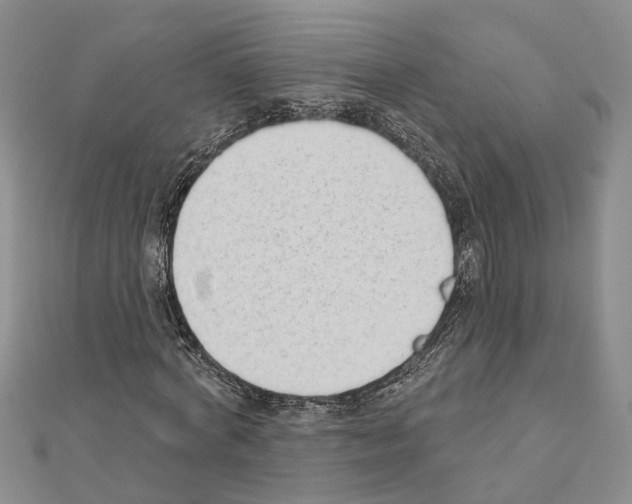 X0000111610772200908281050