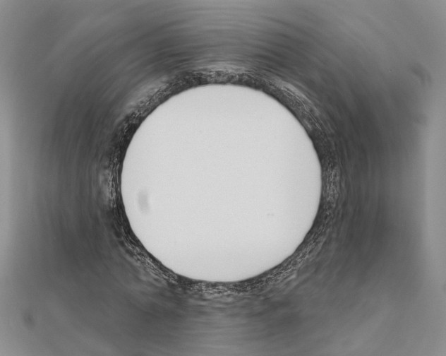 X0000111610774200908281050