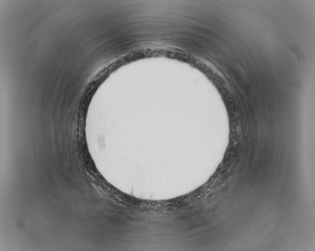 X0000111610775200908281050