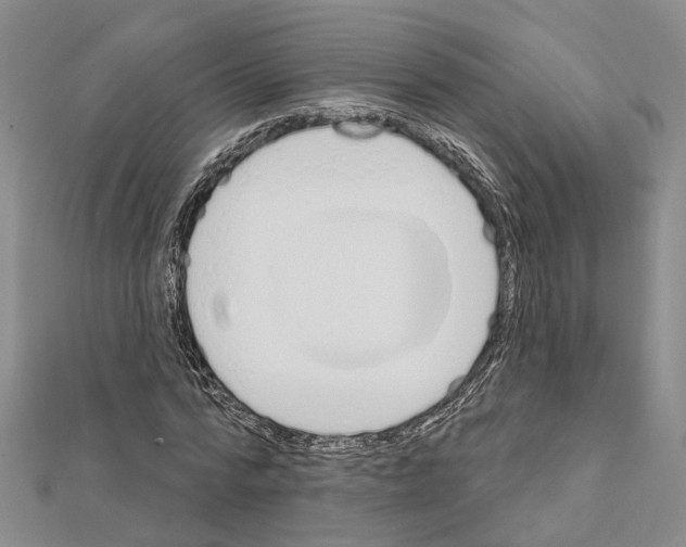 X0000111610776200908281050