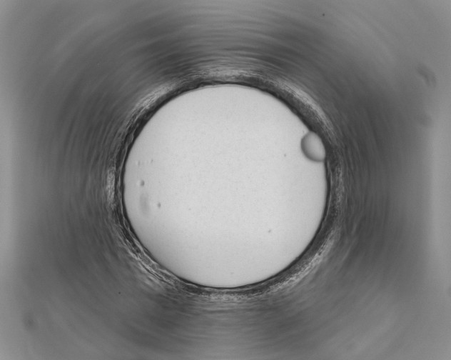 X0000111610777200908281050