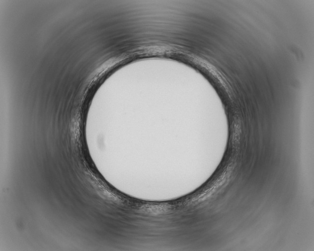 X0000111610778200908281050