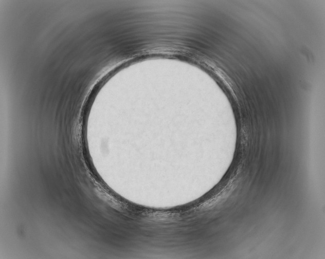 X0000111610779200908281050