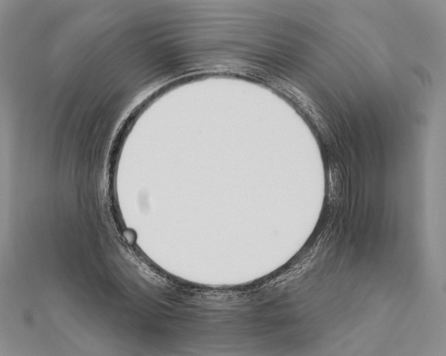 X0000111610780200908281050