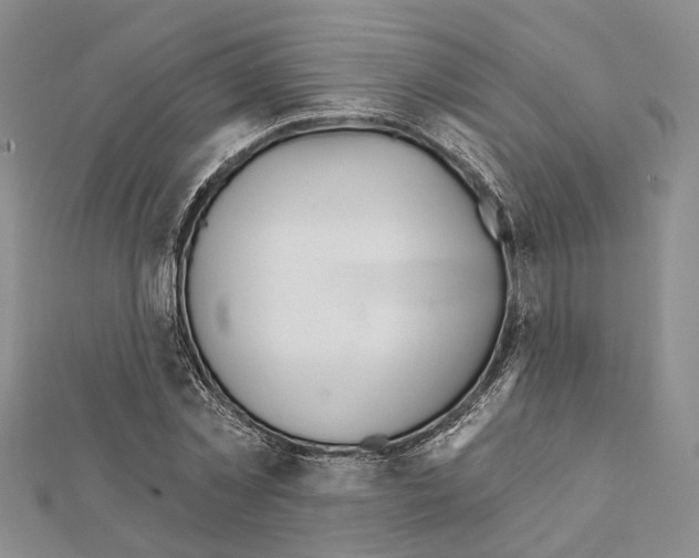 X0000111610781200908281050
