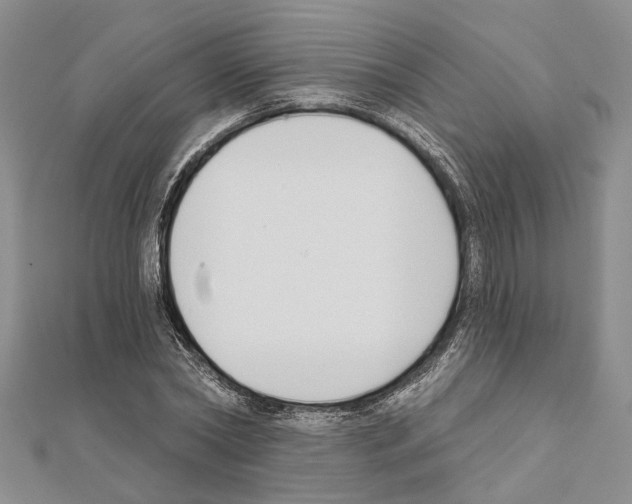 X0000111610782200908281050
