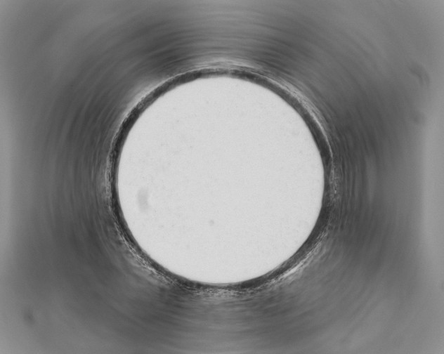 X0000111610783200908281050