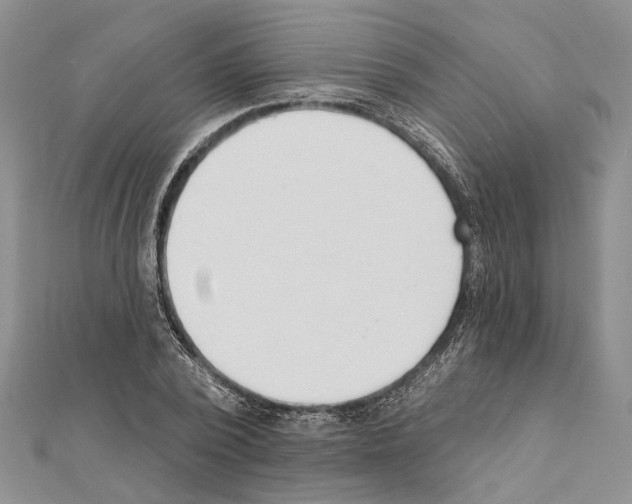X0000111610784200908281050