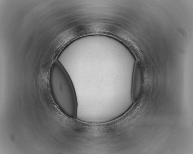 X0000111610785200908281050