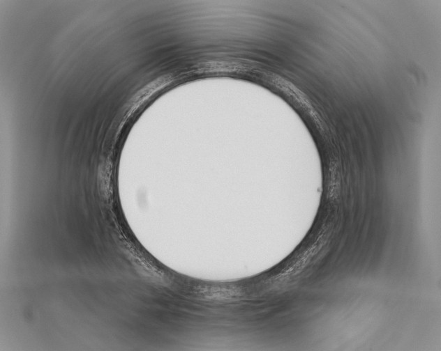 X0000111610786200908281050