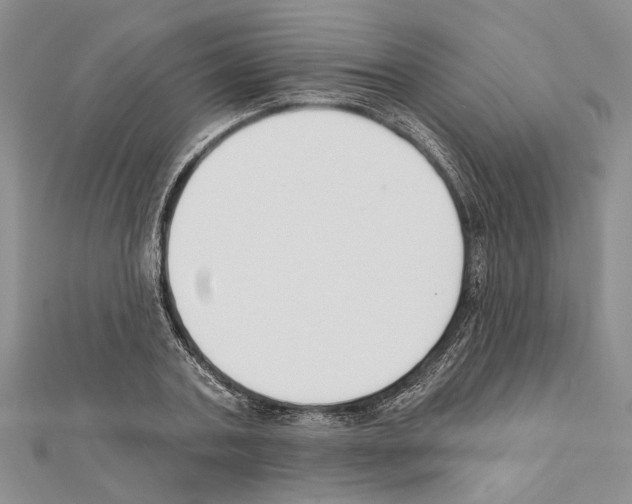 X0000111610787200908281050