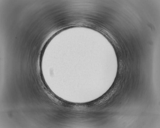 X0000111610788200908281050
