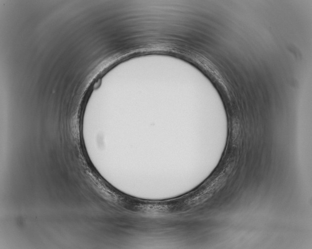 X0000111610789200908281050