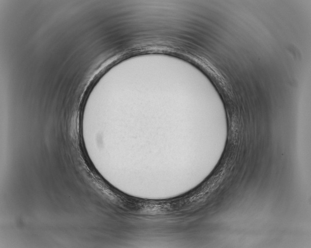 X0000111610790200908281050