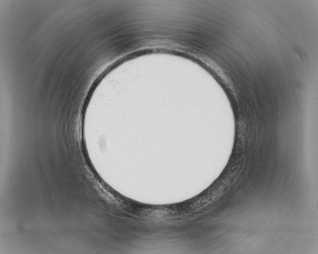 X0000111610791200908281050