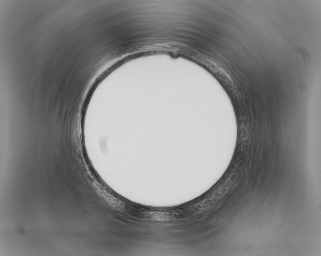 X0000111610792200908281049