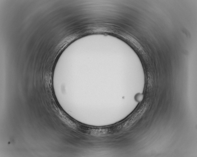X0000111610793200908281049