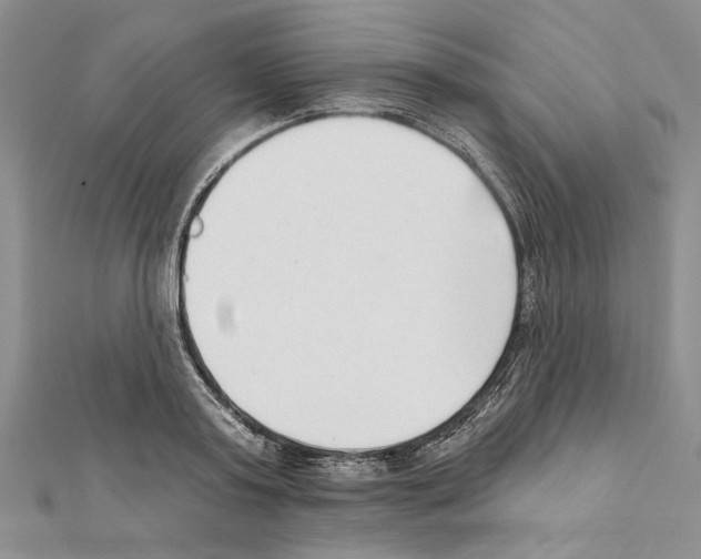 X0000111610795200908281049
