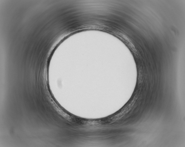 X0000111610796200908281049