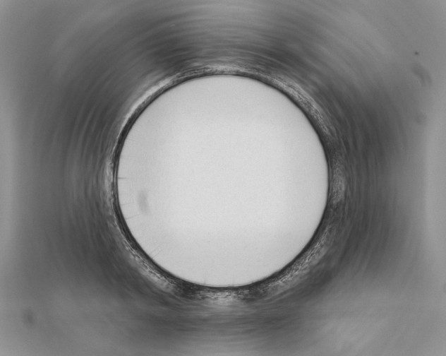 X0000111610798200908281049