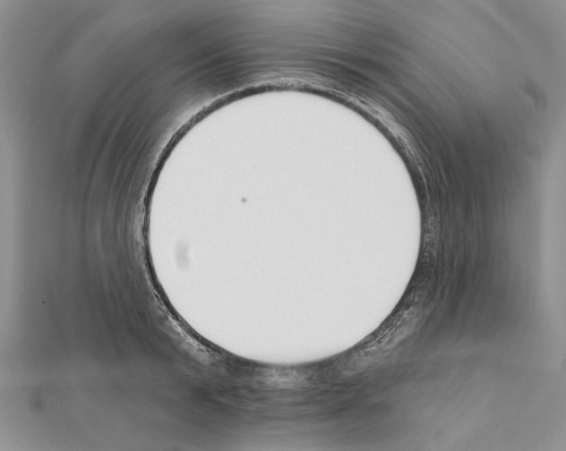 X0000111610799200908281049