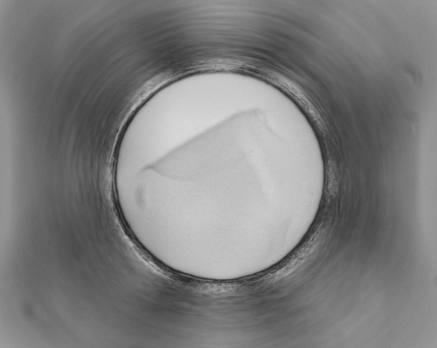 X0000111610802200908281049