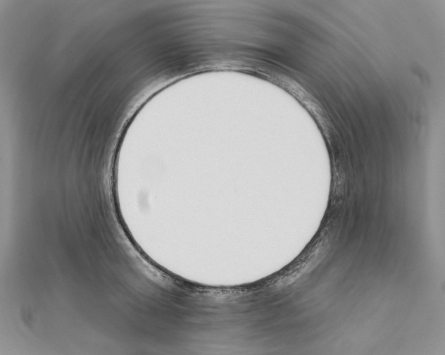 X0000111610803200908281049