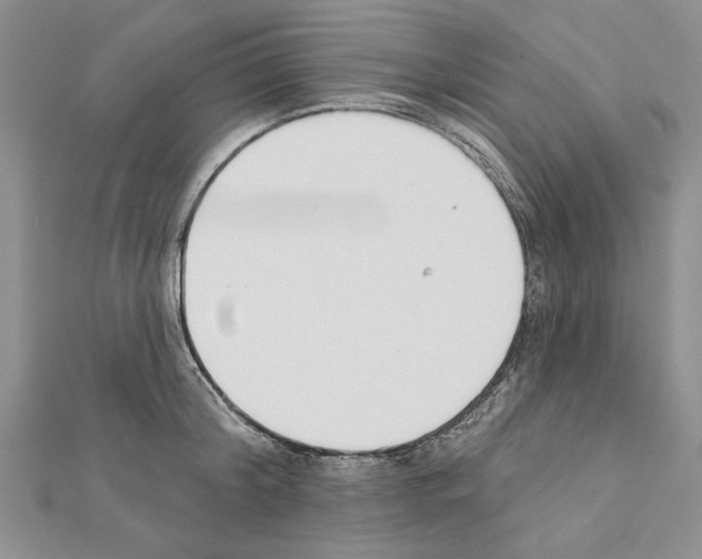 X0000111610804200908281049
