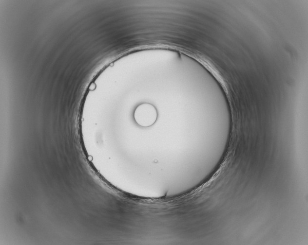 X0000111610805200908281049