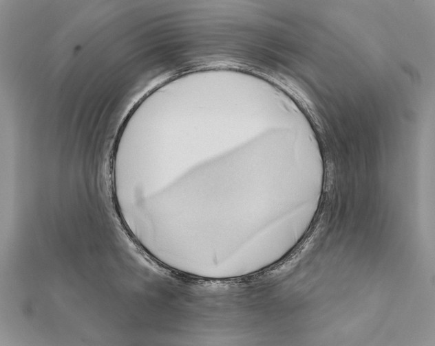 X0000111610806200908281049