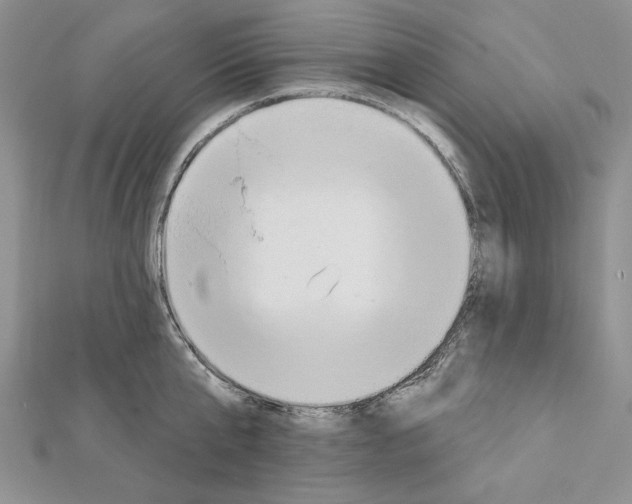 X0000111610807200908281049