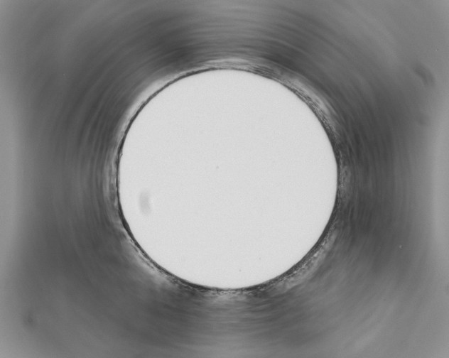 X0000111610808200908281049