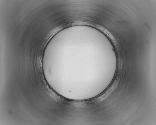 X0000111610809200908281049