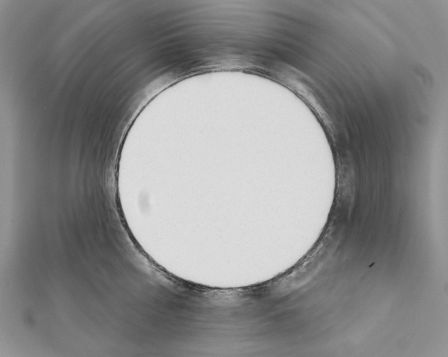 X0000111610810200908281049