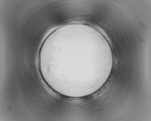 X0000111610811200908281049