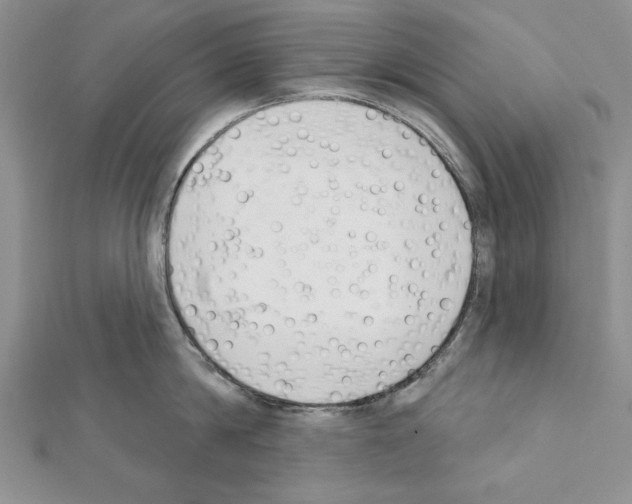 X0000111610814200908281049