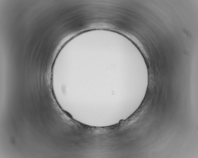 X0000111610815200908281049