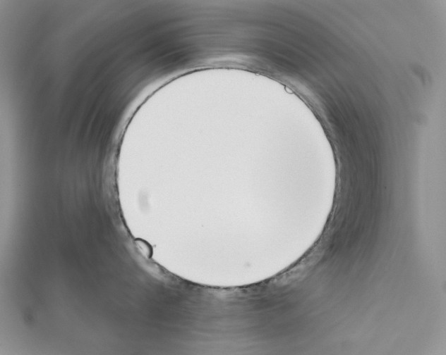 X0000111610816200908281049