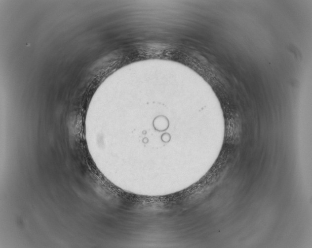 X0000111610820200908281048