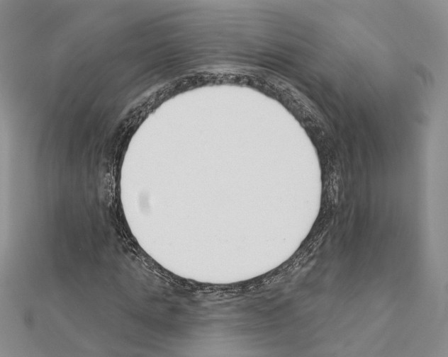 X0000111610821200908281048