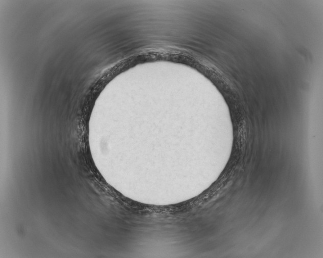 X0000111610822200908281048