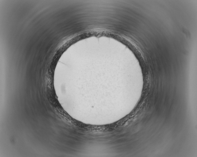 X0000111610823200908281048