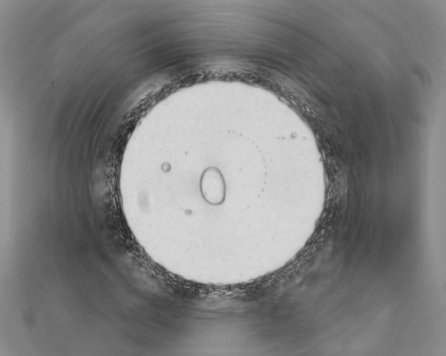 X0000111610824200908281048