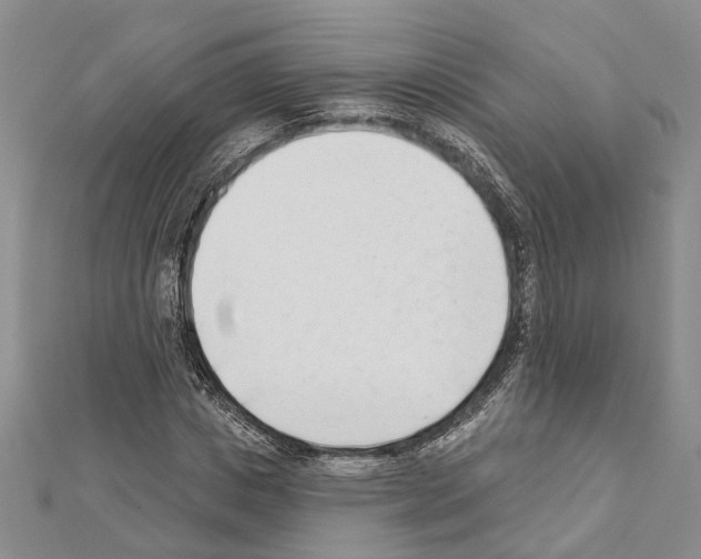 X0000111610825200908281048