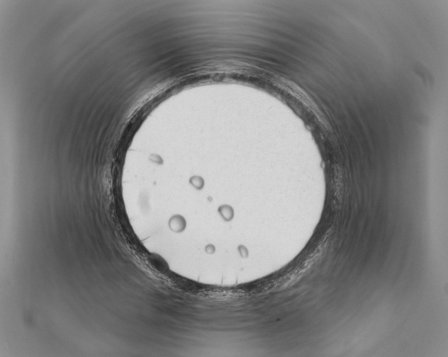 X0000111610826200908281049