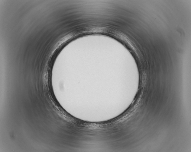 X0000111610827200908281049