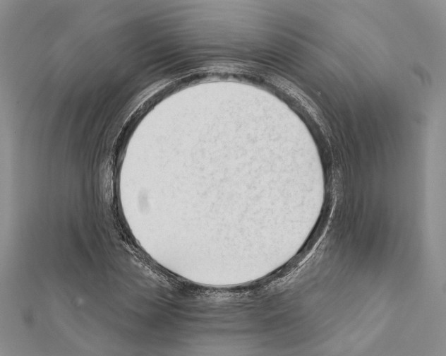 X0000111610829200908281049