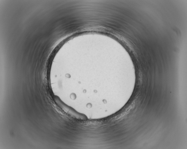 X0000111610830200908281049