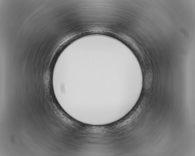 X0000111610831200908281049